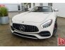 2018 Mercedes-Benz AMG GT for sale 101652160